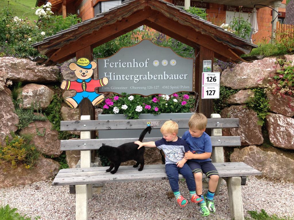 Hintergrabenbauer *